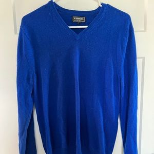 EXPRESS Men's V-Neck Sweater